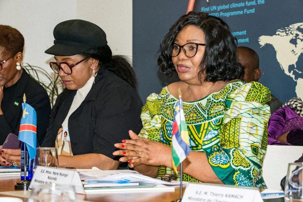 IMG-20250924-WA0099-1024x684 La Professeure Marie Nyange Ndambo Plaide pour l’Intégration de la RDC au Conseil d’Administration du Fonds CAFI.