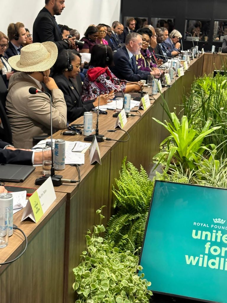 IMG-20251107-WA0065-768x1024 Crimes environnementaux : Mme la Ministre, Marie Nyange, réclame la protection des écosystèmes et indexe l'écocide en RDC.