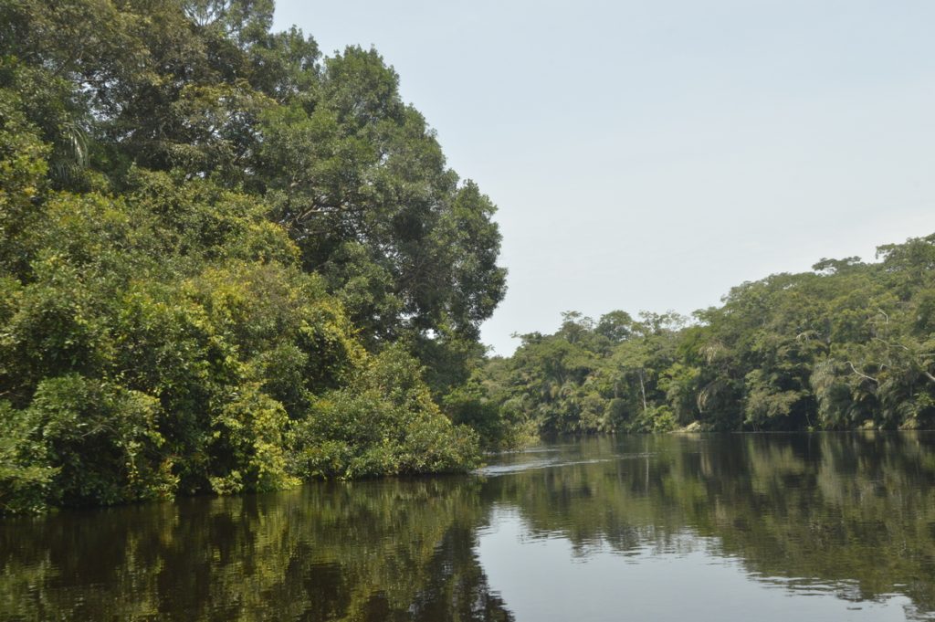 IMG-20251108-WA0133-1024x681 RDC: Pays-Solution et hub énergétique pour l'Afrique. Marie Nyange exhorte à l'investissement pour une transition équitable.