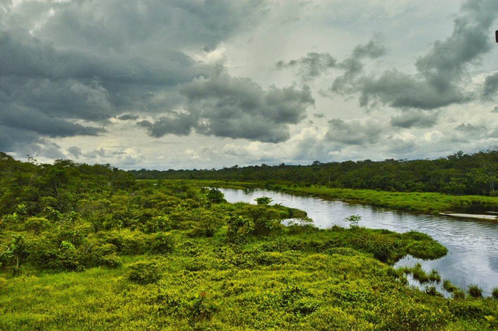 IMG-20251108-WA0135-1024x680 RDC: Pays-Solution et hub énergétique pour l'Afrique. Marie Nyange exhorte à l'investissement pour une transition équitable.
