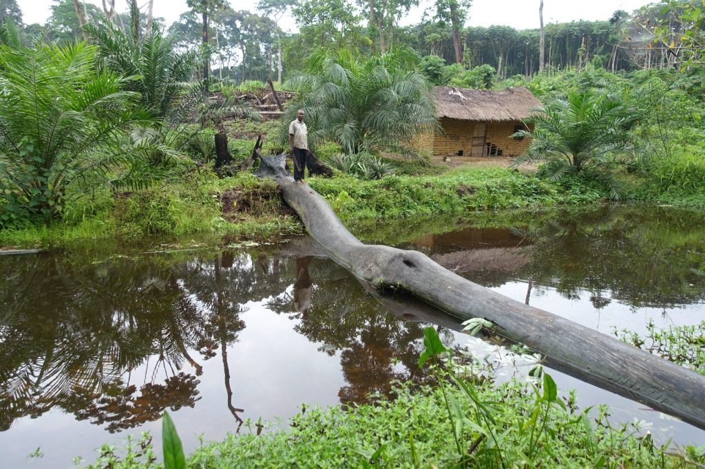 IMG-20251108-WA0137-1024x682 RDC: Pays-Solution et hub énergétique pour l'Afrique. Marie Nyange exhorte à l'investissement pour une transition équitable.