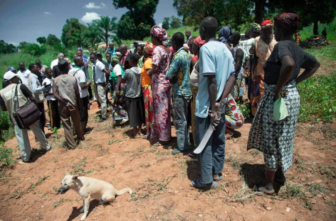 IMG-20251111-WA0115 COP30. Foresterie durable et mondiale : La RDC lance « La Forêt, c’est Nous ». Un programme des plus ambitieux.