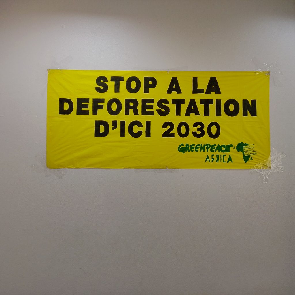 IMG_20251030_110212_822-1024x1024 RDC: Pays-Solution et hub énergétique pour l'Afrique. Marie Nyange exhorte à l'investissement pour une transition équitable.