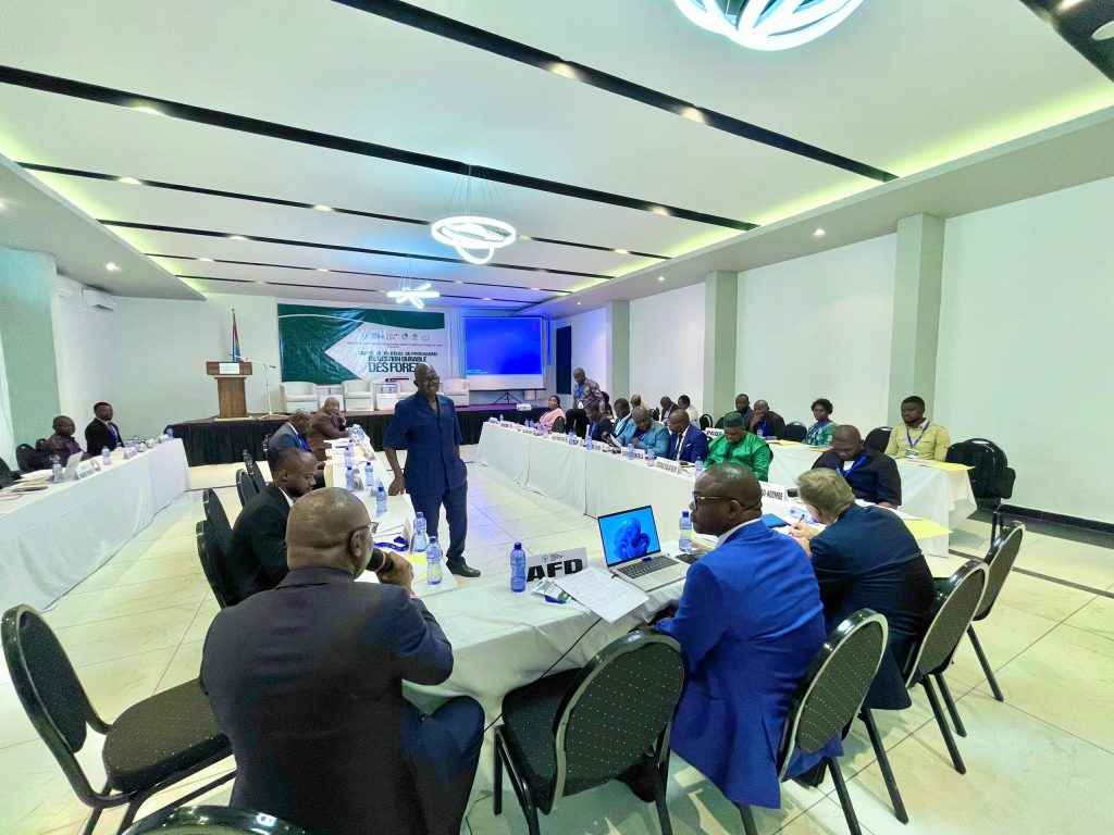 39041-1024x768 Ouverture de la 4ème session du Comité de pilotage, (COPIL), du Programme de gestion durable des forêts,(PGDF), à Sulutani Hôtel.