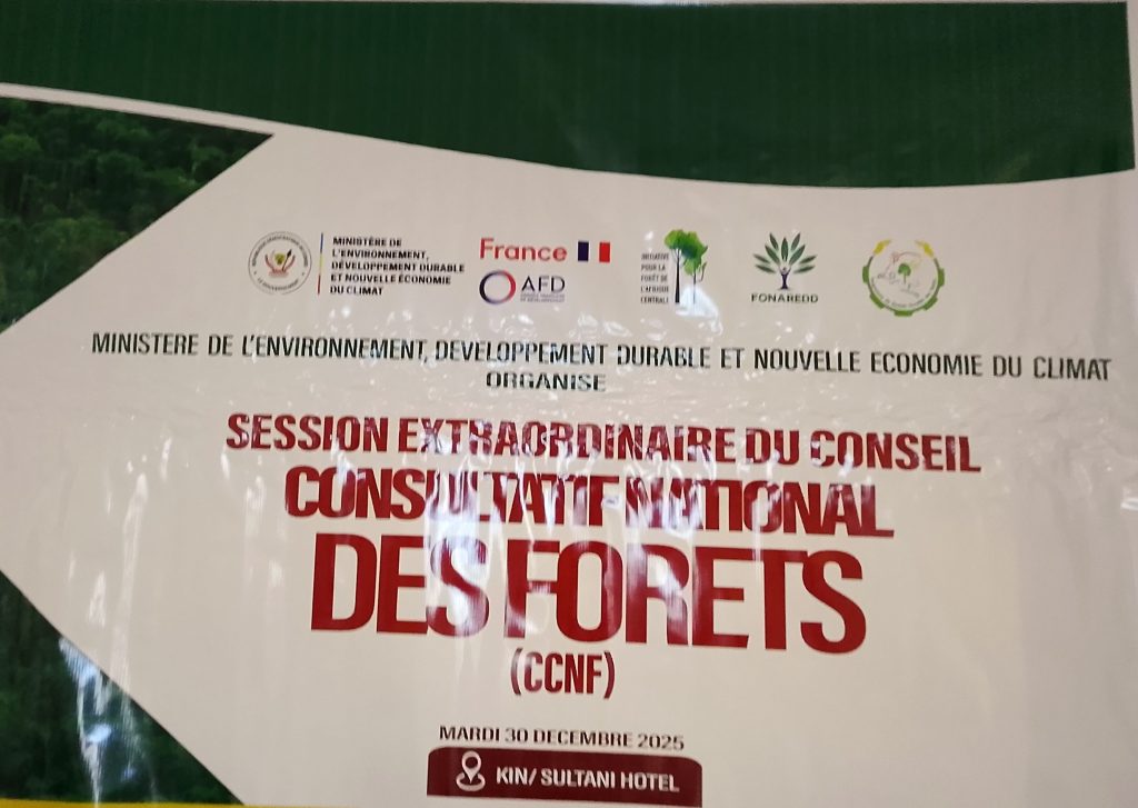 71359-1024x727 Marie Nyange active la session extraordinaire du Conseil consultatif national des forêts (CCNF)