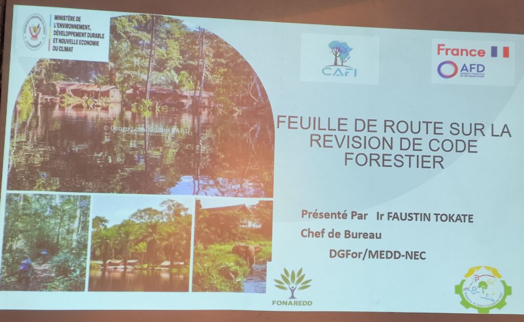 71361-1024x629 Marie Nyange active la session extraordinaire du Conseil consultatif national des forêts (CCNF)