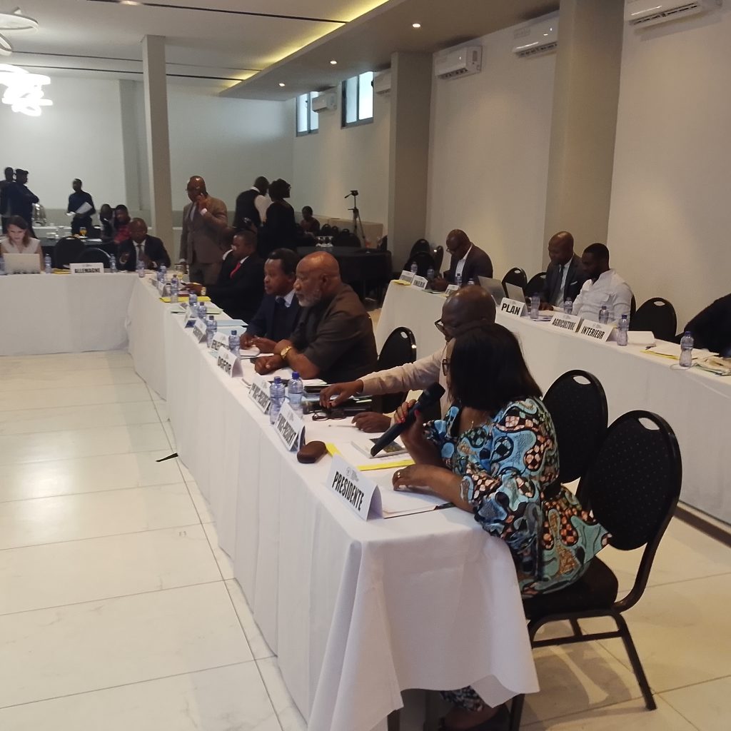 71467-1024x1024 Marie Nyange active la session extraordinaire du Conseil consultatif national des forêts (CCNF)