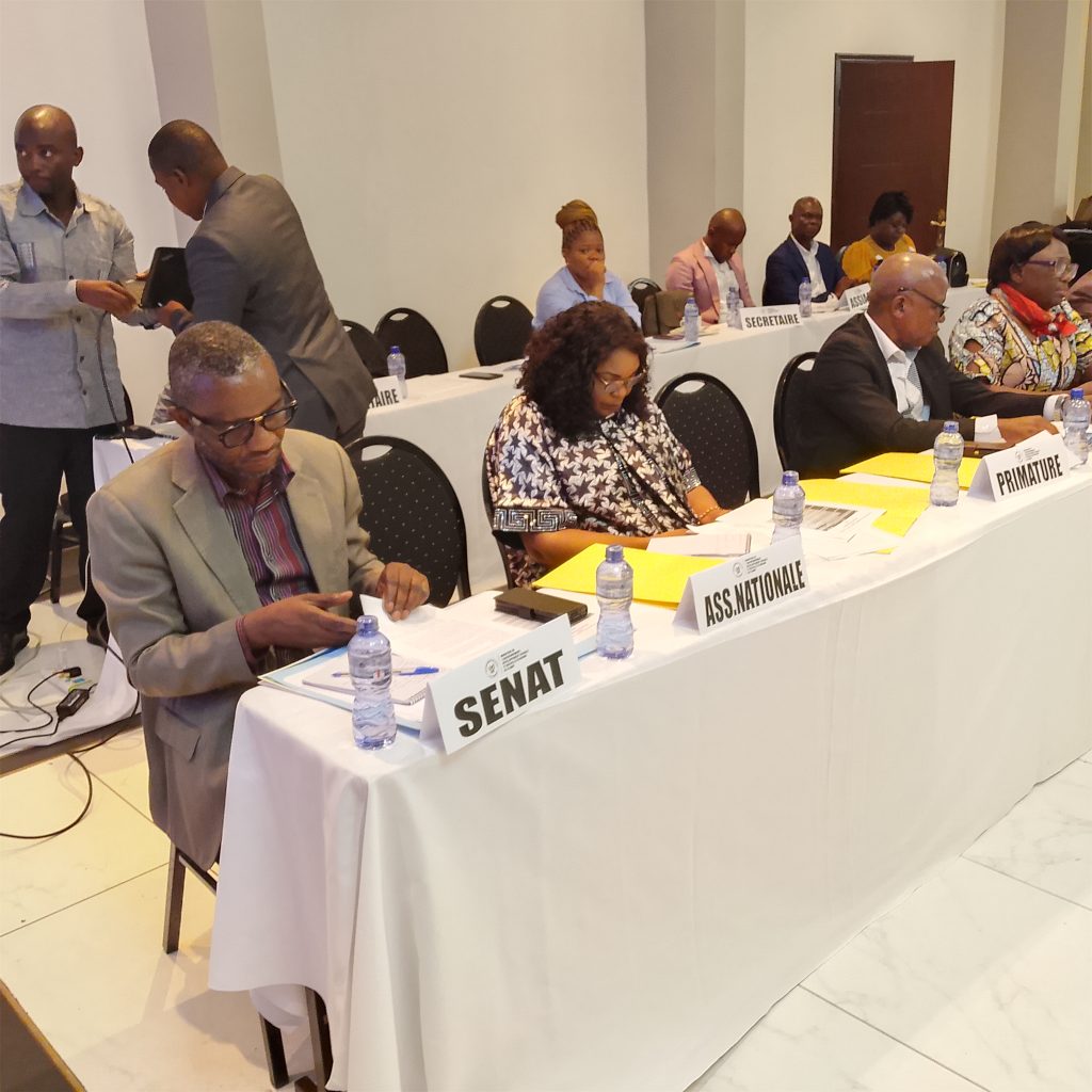 71481-1024x1024 Marie Nyange active la session extraordinaire du Conseil consultatif national des forêts (CCNF)