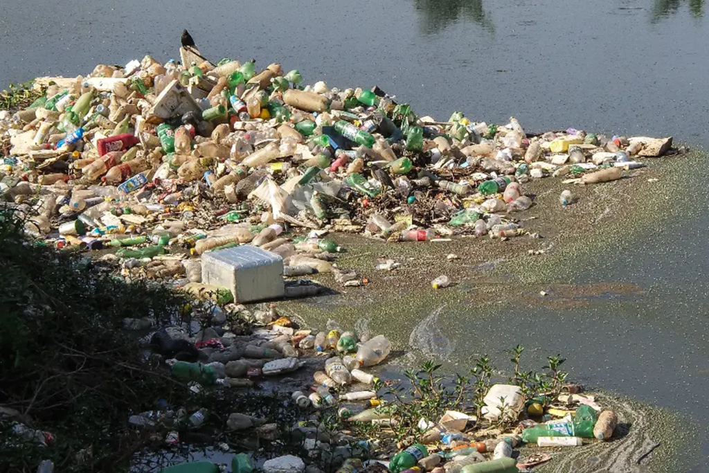 image-42-1024x683 Alerte sur l’écosystème du fleuve Congo : Les ressources halieutiques sérieusement menacées par les rejets urbains.