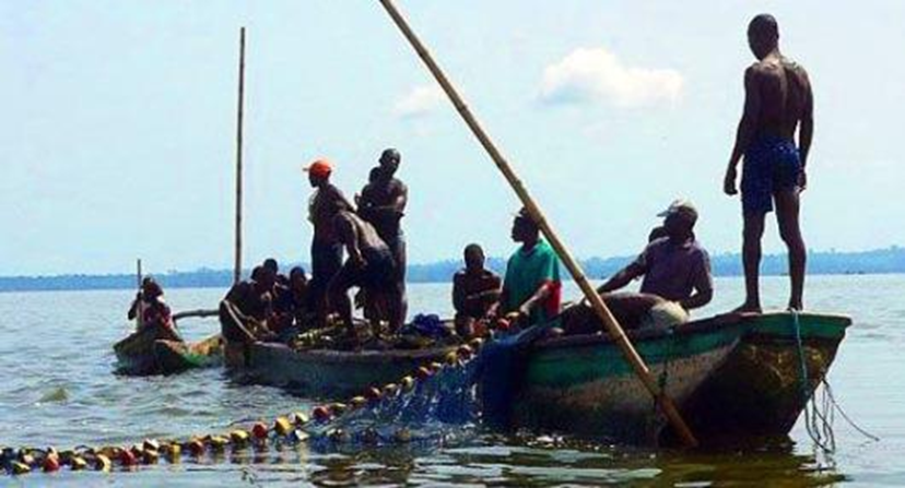 image-43 Alerte sur l’écosystème du fleuve Congo : Les ressources halieutiques sérieusement menacées par les rejets urbains.