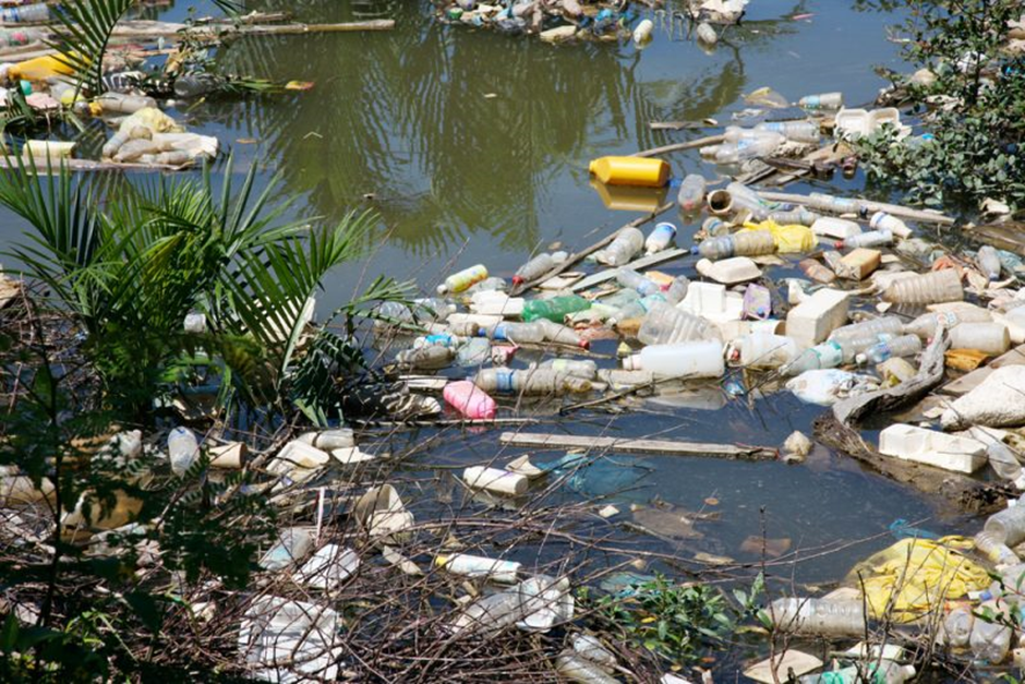image-44 Alerte sur l’écosystème du fleuve Congo : Les ressources halieutiques sérieusement menacées par les rejets urbains.