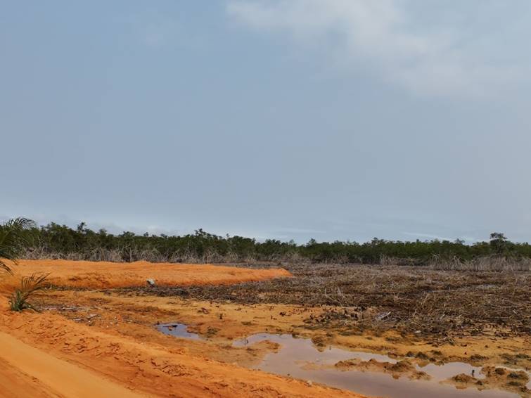image-11 Muanda. Kongo central : Marie Nyange Ndambo évalue le site de la baleine et promet des mesures urgentes pour les Mangroves.