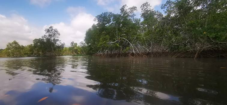 image Muanda. Kongo central : Marie Nyange Ndambo évalue le site de la baleine et promet des mesures urgentes pour les Mangroves.
