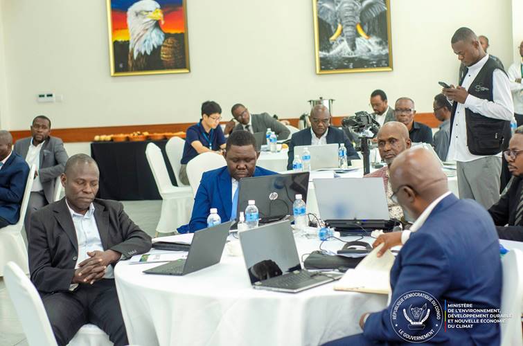 image-24 La RDC enclenche l’élaboration de la Feuille de route nationale 2026-2029 pour accéder au mécanisme mondial '' Tropical Forest Forever Facility (TFFF) ''